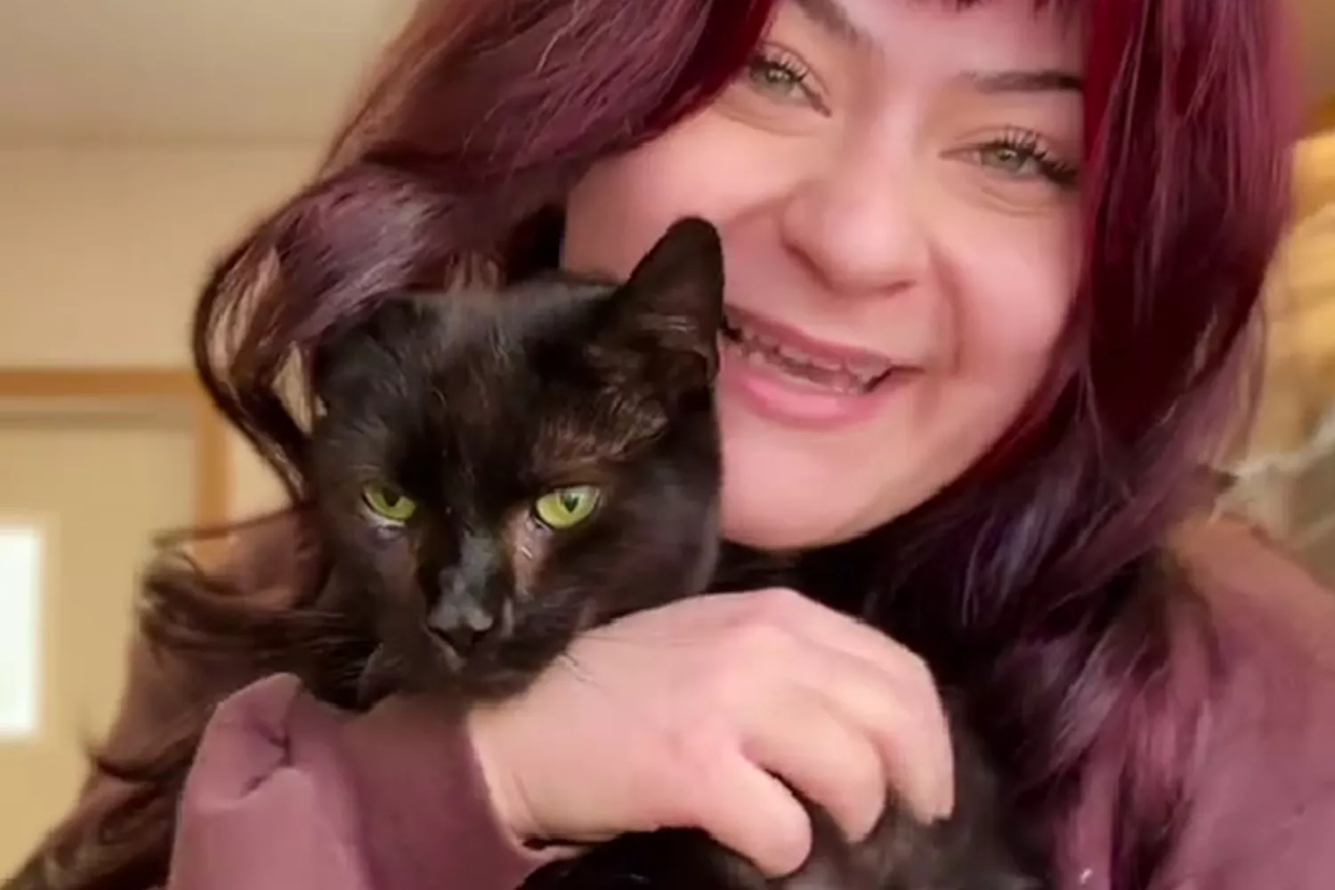 Ravi, the cat given to shelter for being too affectionate
